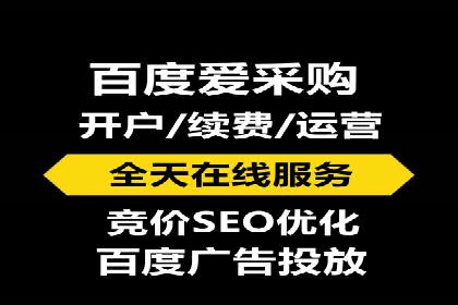 搜索引擎优化（SEO）在百度上的应用案例研究